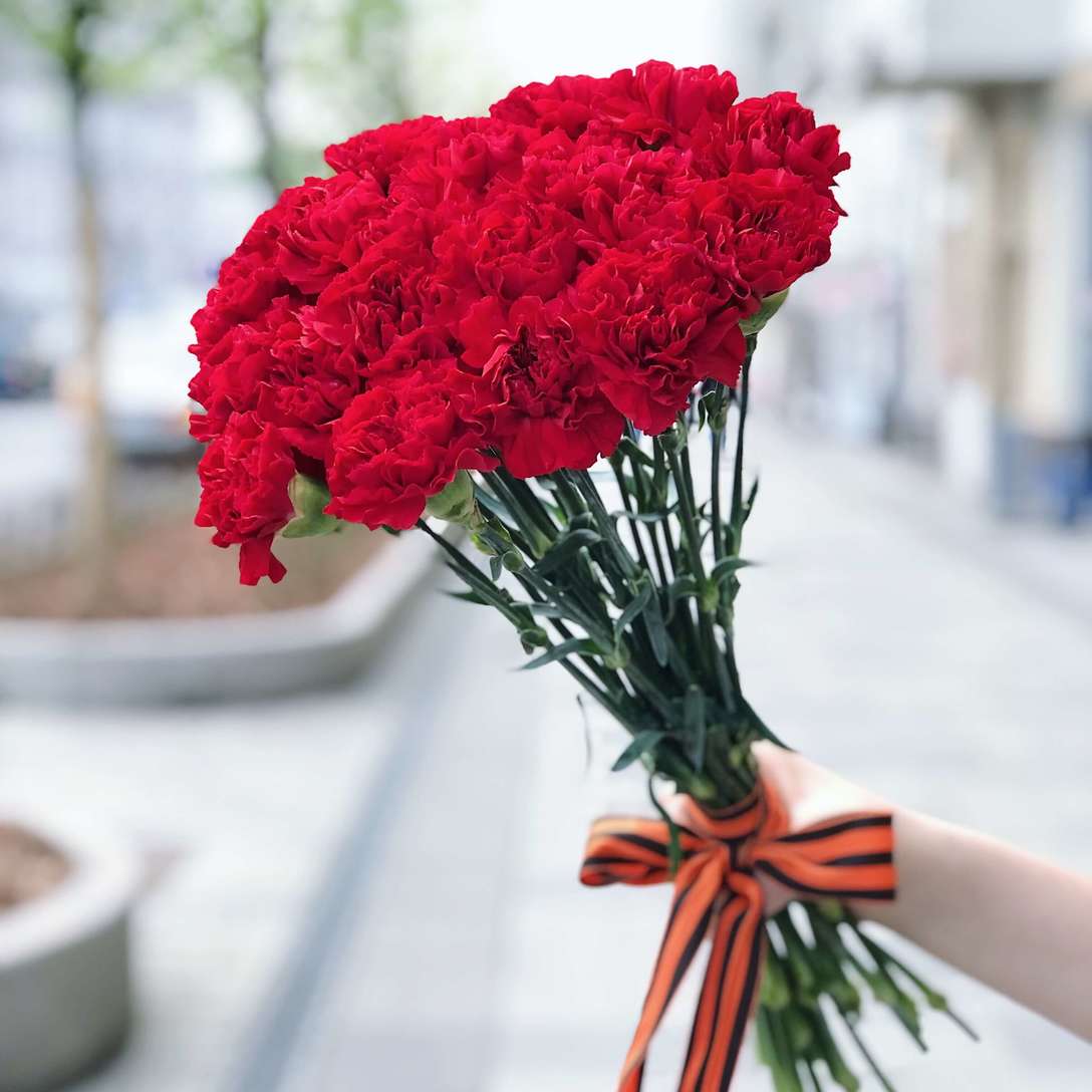 21 красная гвоздика