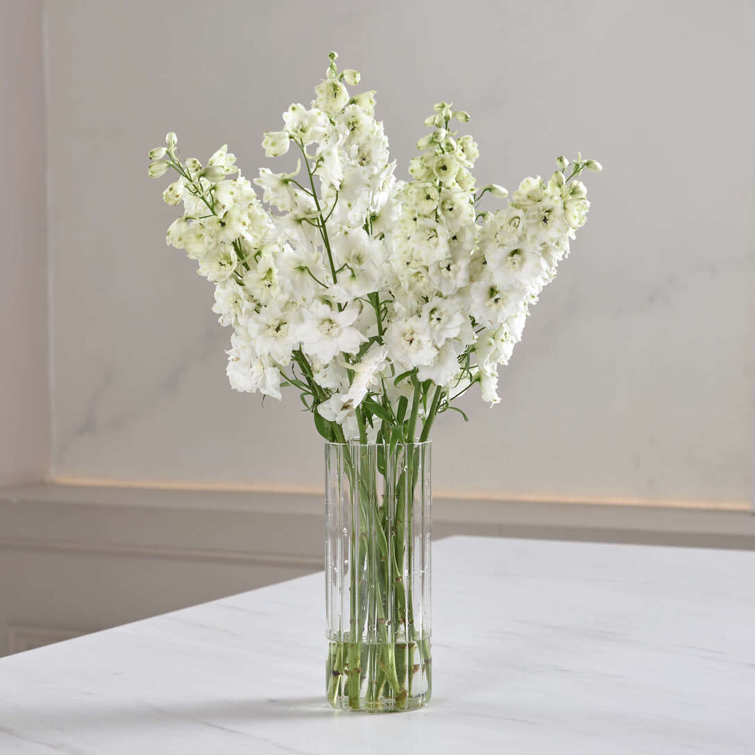 Букет из белого дельфиниума в вазе