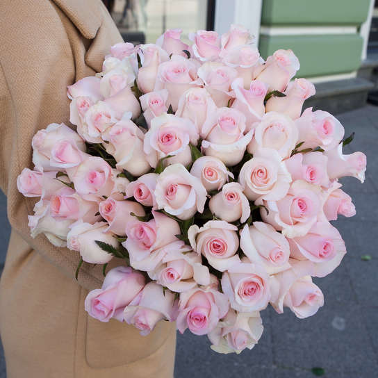 Букет из 51 розы "Senorita"