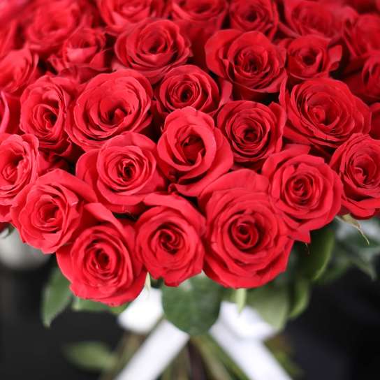 Букет из 101 розы "Freedom"