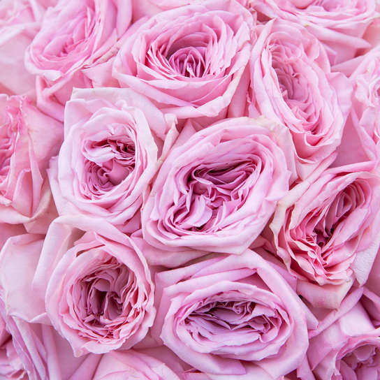 Шляпная коробка Grand "Розы Pink O'Hara" BLUE