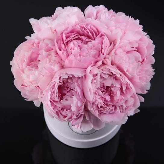 Шляпная коробка Demi "Пионы Sarah Bernhardt" WHITE