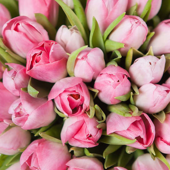 Шляпная коробка Demi "Тюльпаны Pink" BLVCK