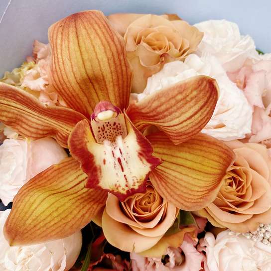 Букет "Cappucino" BLUE Фото 4