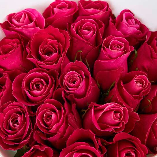 Букет из 21 розы "Cherry O! Kenya" WHITE