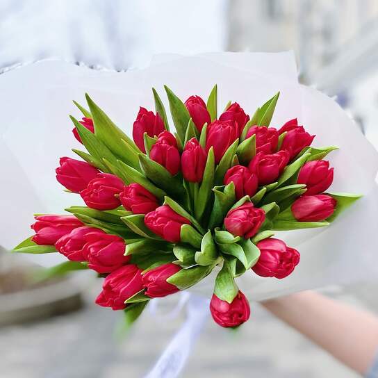 Букет из 25 красных тюльпанов Фото 2