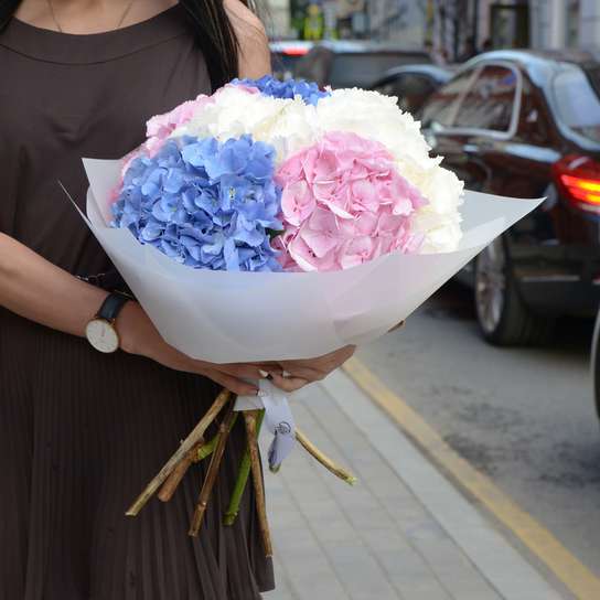 Букет из гортензий "Белая, Розовая, Синяя" (7 шт.)
