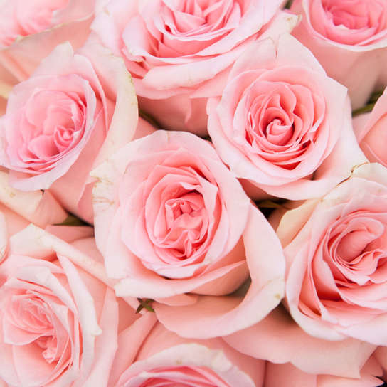 Шляпная коробка Grand с розовыми розами  WHITE