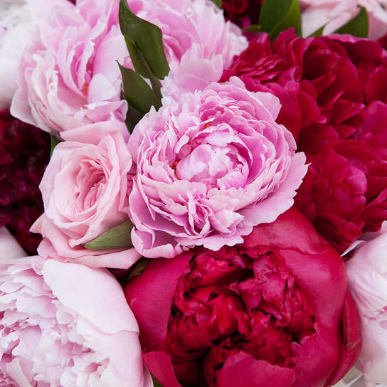 Букет "Wildberry" в коробке Grand Mini BLVCK