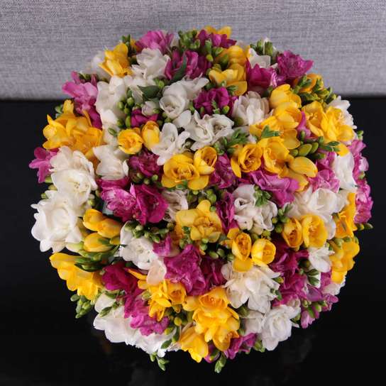 Букет из 101 Фрезии