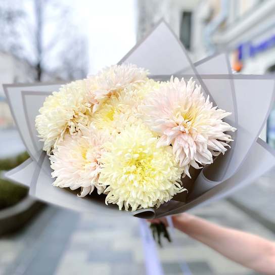 Букет хризантем "Avignon"