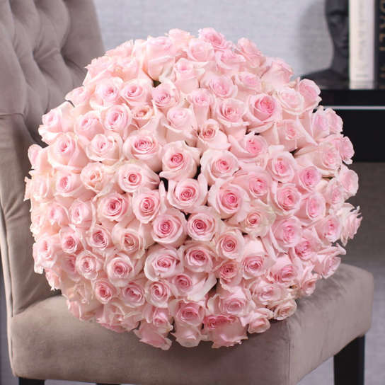 Букет из 101 розы "Senorita"