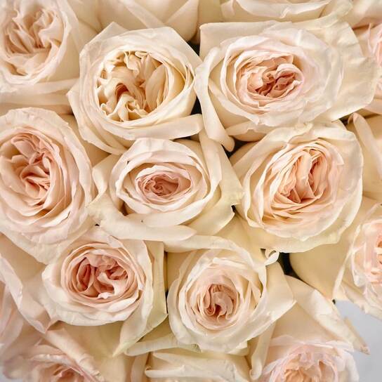 Шляпная коробка Grand "Розы White O'Hara" WHITE