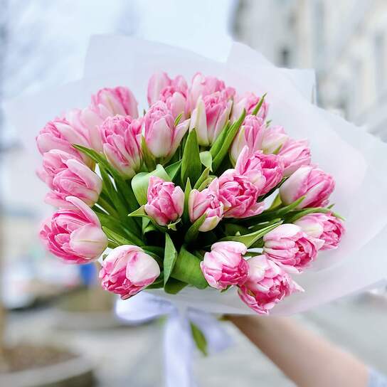 Букет из 25 пионовидных тюльпанов Фото 2