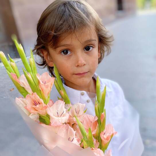 Букет коралловых гладиолусов (5шт.)