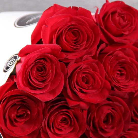 Букет 25 роз "Freedom" WHITE