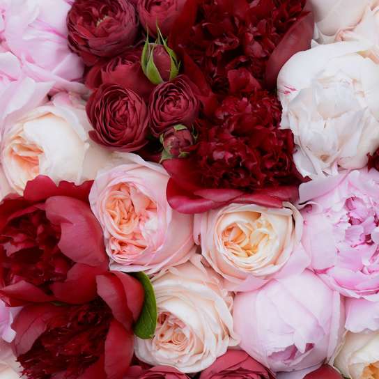 Букет "Avignon" Medium Фото 4