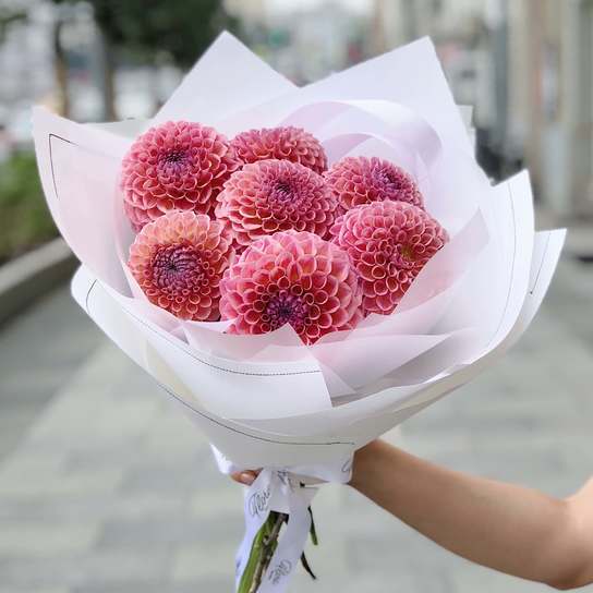 Букет из георгин "Jowey Winnie" Фото 3