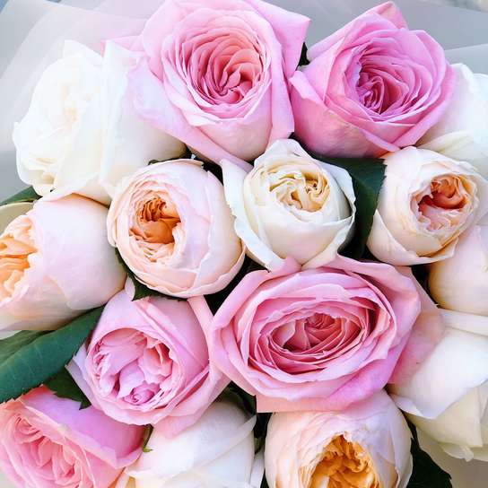 Микс из садовых роз №2