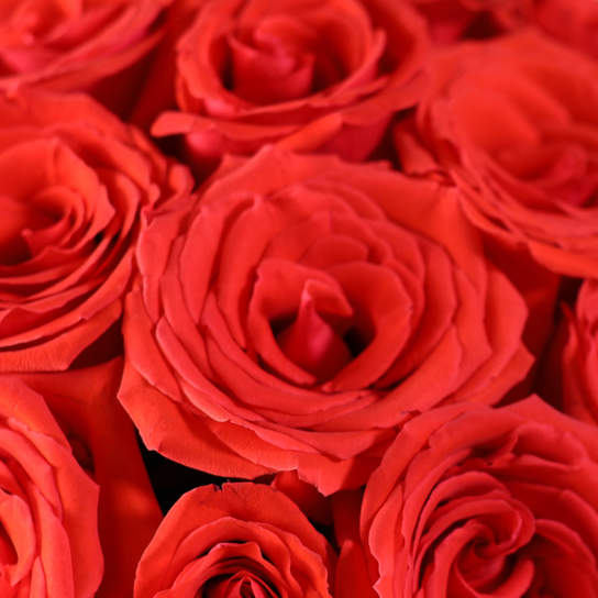 Букет из 25 роз "Nina" в вазе