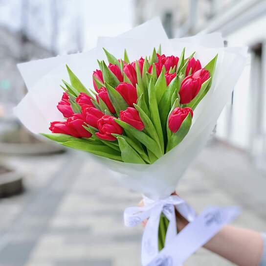 Букет из 25 красных тюльпанов