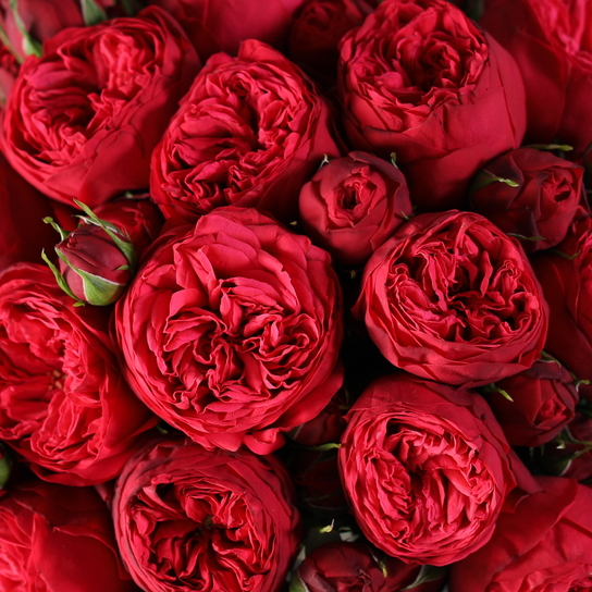 Букет из 15 роз "Red Piano" в вазе