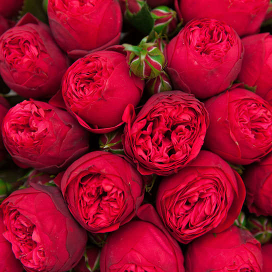 Шляпная коробка Grand "Розы Red Piano" WHITE