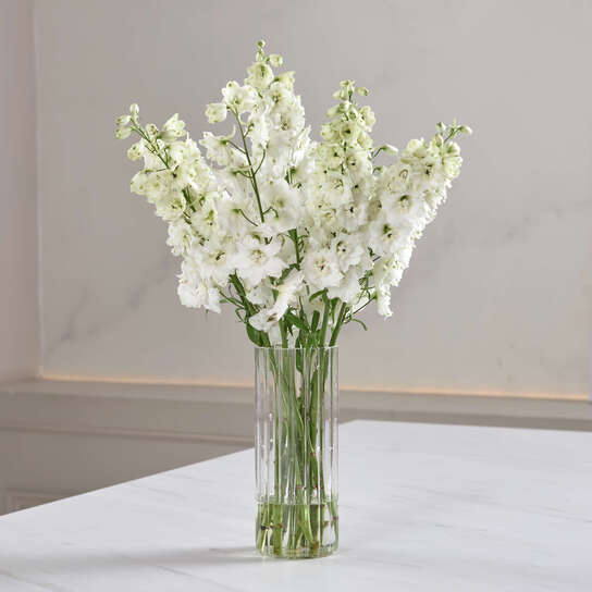 Букет из белого дельфиниума в вазе