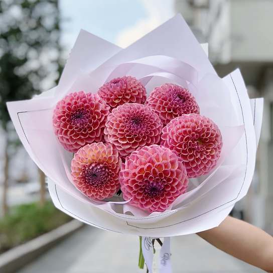 Букет из георгин "Jowey Winnie"