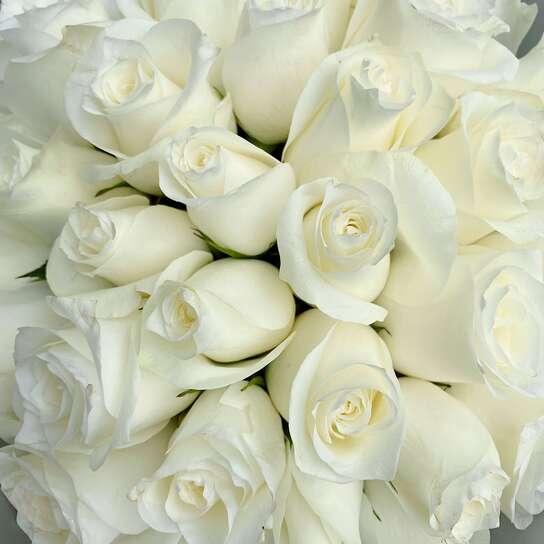 Букет из 35 роз "White Kenya"