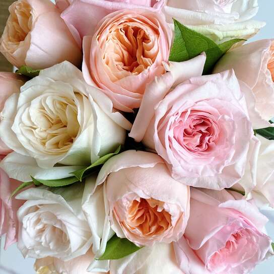 Микс садовых роз O'Hara и Austin Juliet в вазе