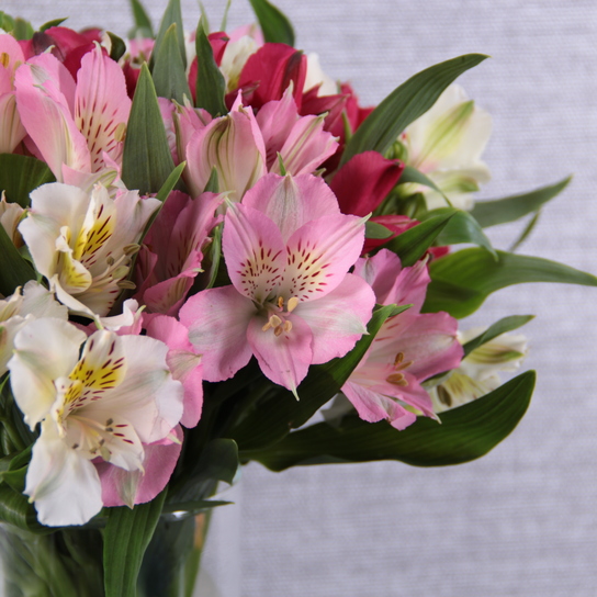 Букет из Альстромерии в вазе