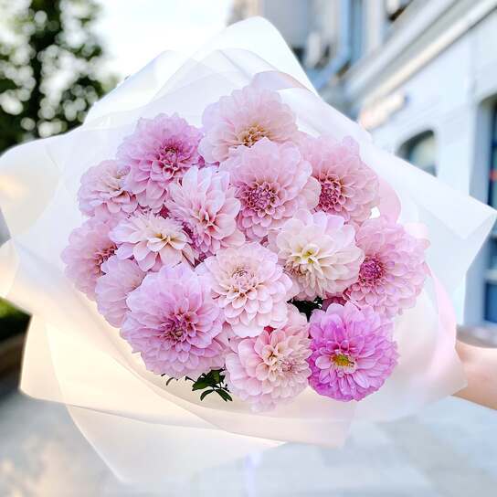 Букет из георгин "Sweet Nathalie"