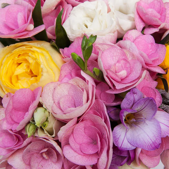 Шляпная коробка Demi "Fort-de-France" BLUE Фото 3