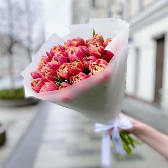 Букет из 25 малиновых тюльпанов "Columbus"