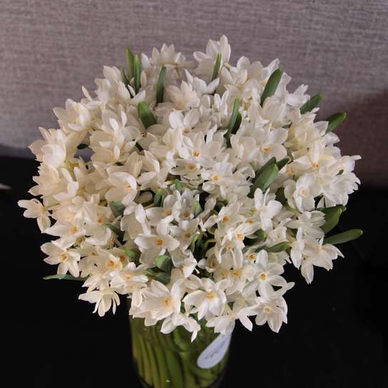 Букет из белых нарциссов Фото 2