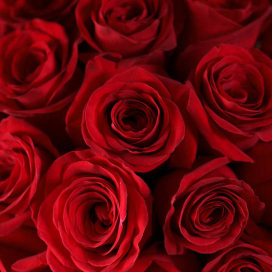 Шляпная коробка Grand "Розы Freedom" WHITE