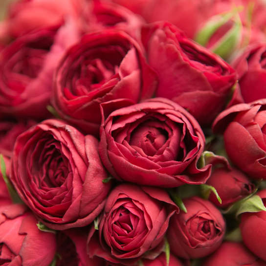 Шляпная коробка Demi "Розы Red Lace" PINK Фото 4