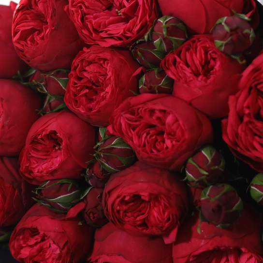 Букет из 15 роз "Red Piano" BLVCK