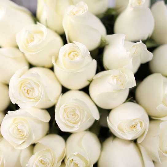 Букет из 51 розы "Proud"