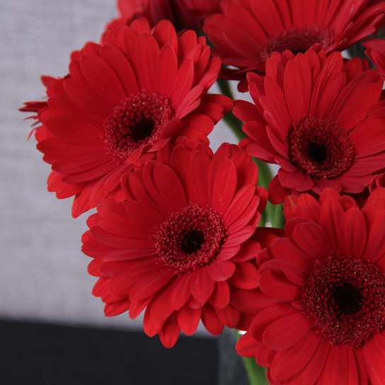 Букет из красных Гербер в вазе Фото 3