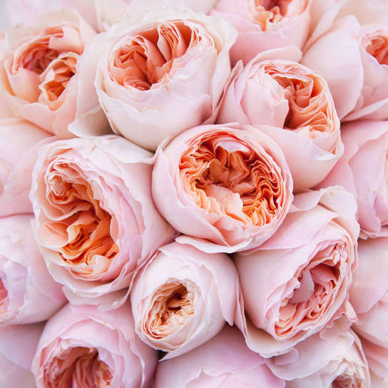 Шляпная коробка Grand "Розы Austin Juliet" GREEN