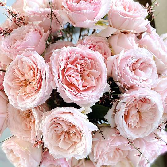 Букет из 35 японских селективных роз "Tsumugi" в вазе