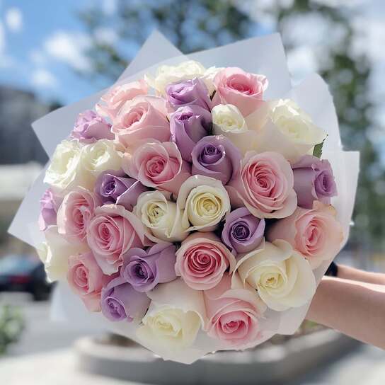 Пудровый микс роз